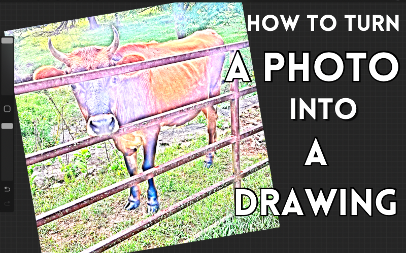How to Turn A Photo Into A Drawing in Procreate