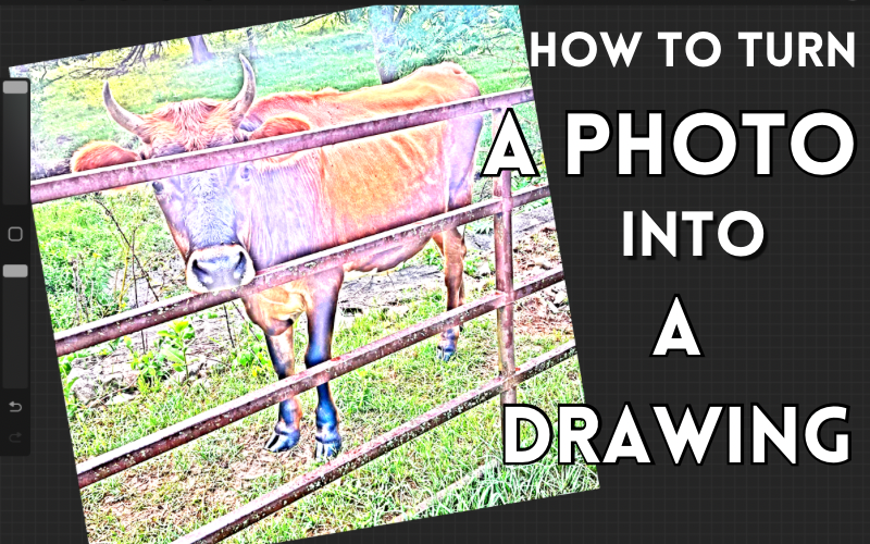 How to Turn A Photo Into A Drawing in Procreate - Colored Version – The ...