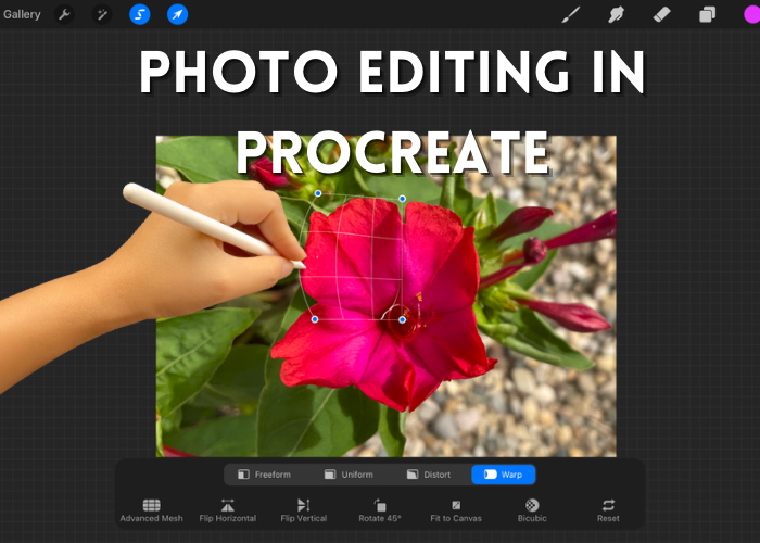 How to Use Procreate for Photo Editing – The Creativity City