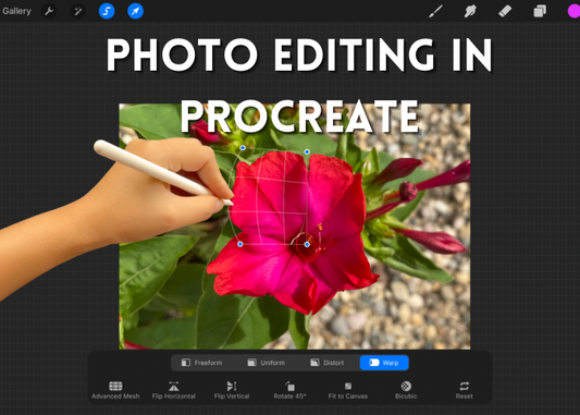 Photo editing in procreate