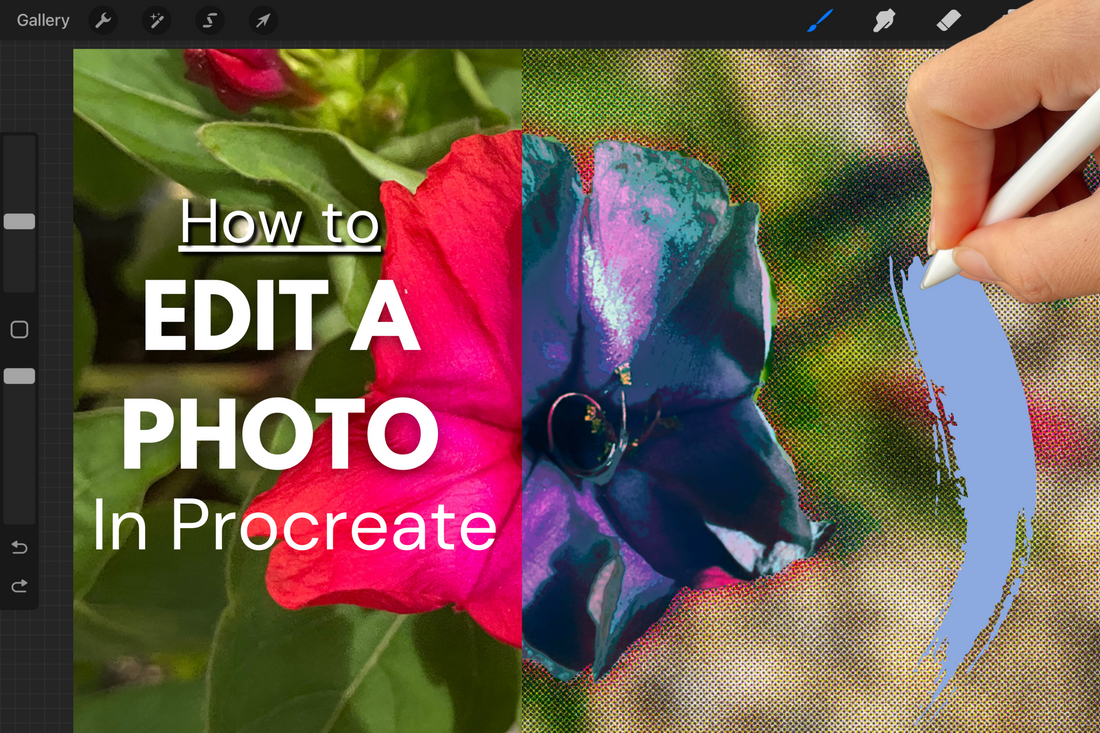 How To Edit a Photo in Procreate - Updated Version! – The Creativity City