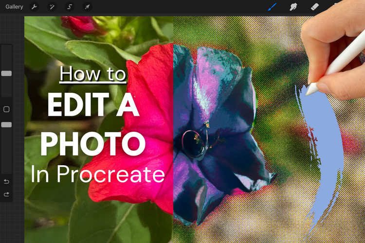 How To Edit a Photo in Procreate - Updated Version! – The Creativity City