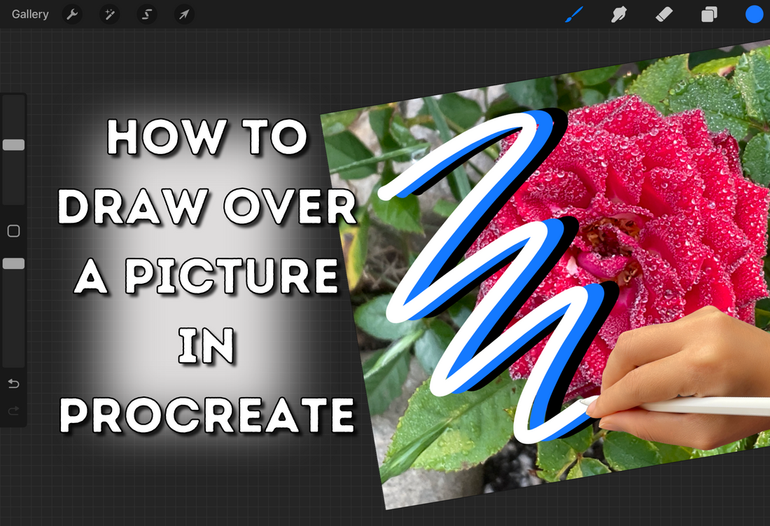 How to draw over a picture in Procreate - use Procreate to draw over photos